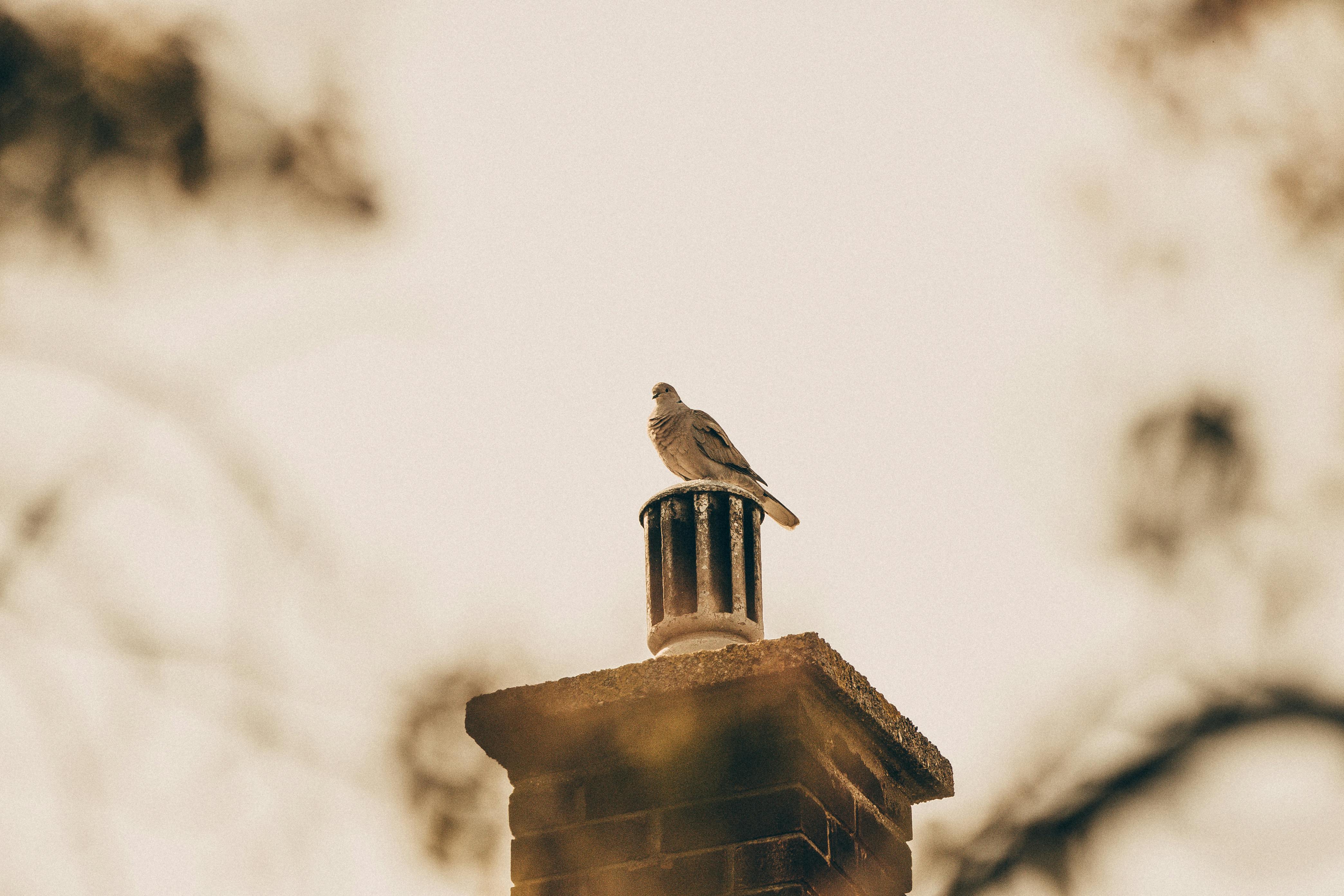 Quality Chimney Caps and Dampers Installation in Hartland, MI Professional Chimney Cap and Damper In Hartland Michigan